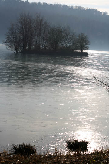 060110_05.jpg