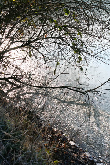 060110_06.jpg