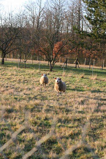 060110_07_02.jpg