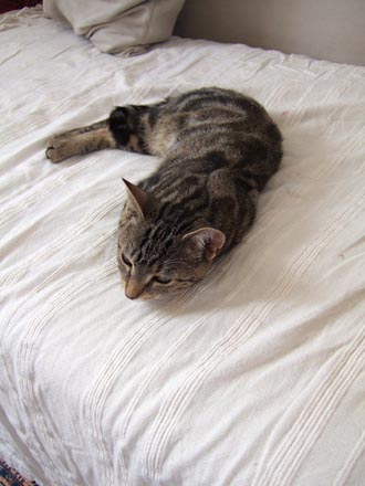 06080501.jpg