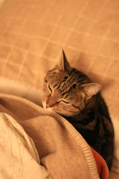 070108_03.jpg