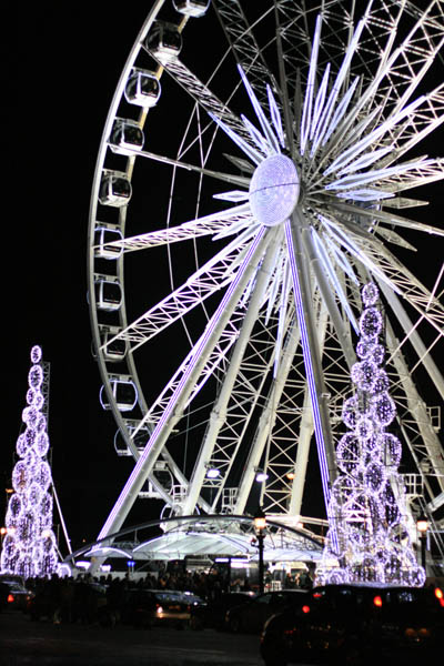 071208_01.jpg