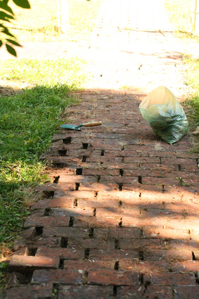 080909_08.jpg