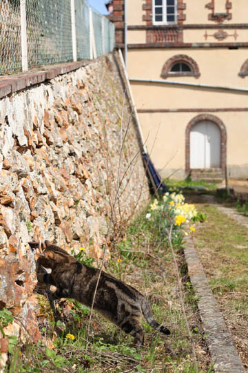 090410_03.jpg