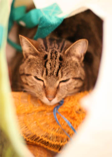 120208_03.jpg