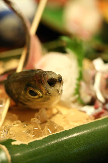 120408_01.jpg