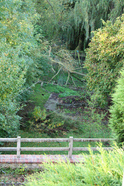 121009_01.jpg