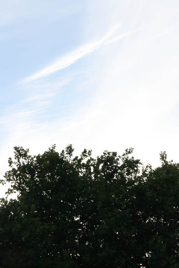 130808_12.jpg