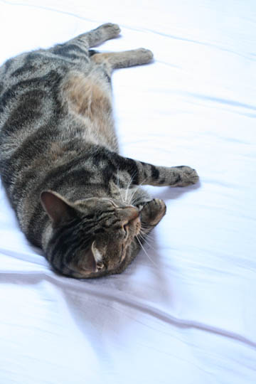 150708_02.jpg