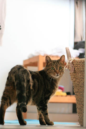 150908_01.jpg