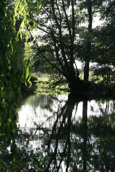 200809_08.jpg