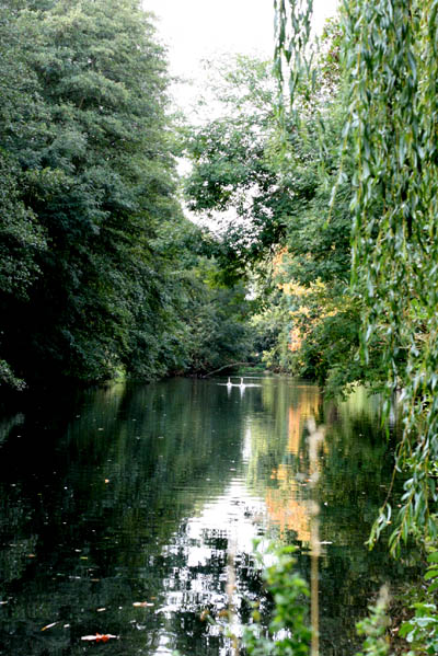201009_04.jpg