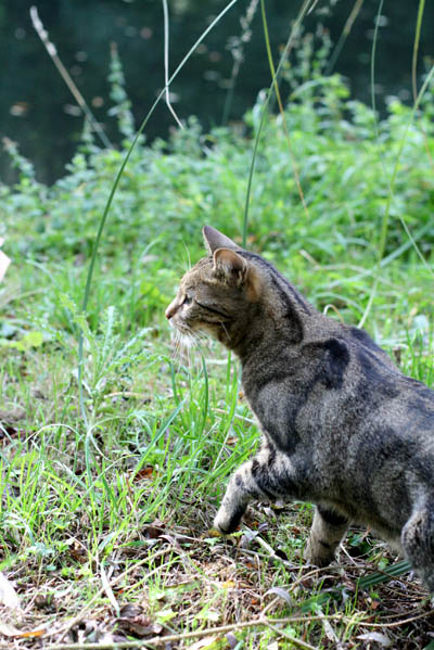 201009_05.jpg
