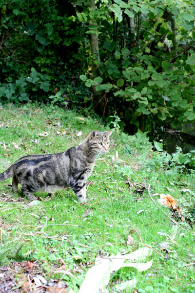 201009_07.jpg