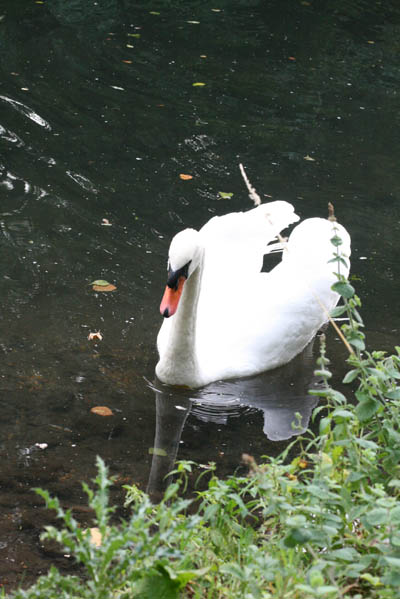 201009_10.jpg