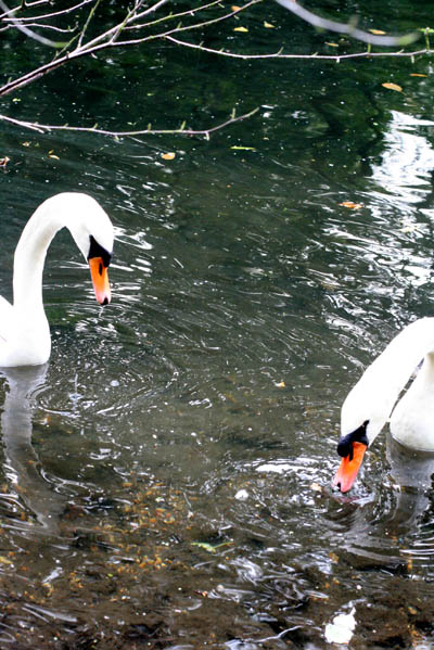 201009_12.jpg
