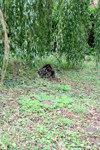 201009_15.jpg