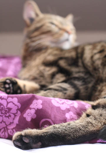 230608_05.jpg