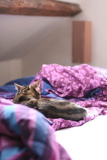 230608_06.jpg