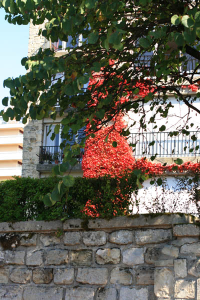 2800908_01.jpg