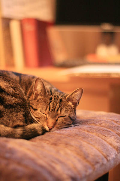 281207_02.jpg