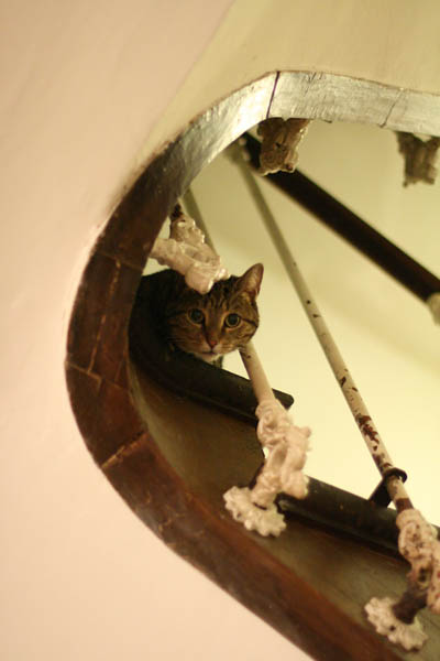 290909_11.jpg