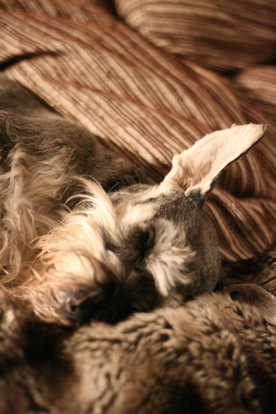 290909_13.jpg