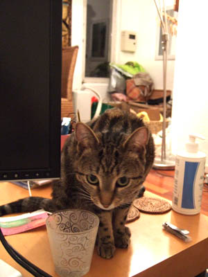 DSCF4433.jpg