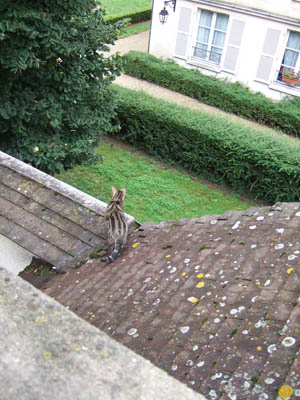 DSCF5750.jpg