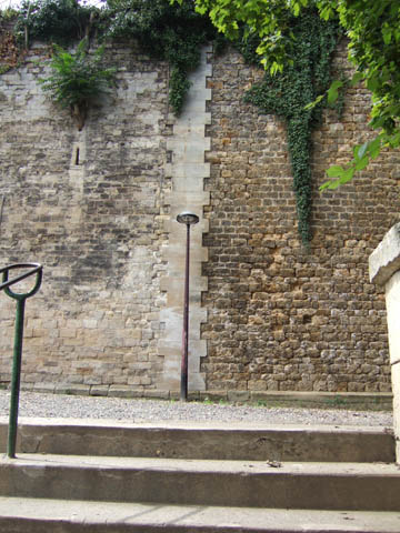 DSCF5824.jpg