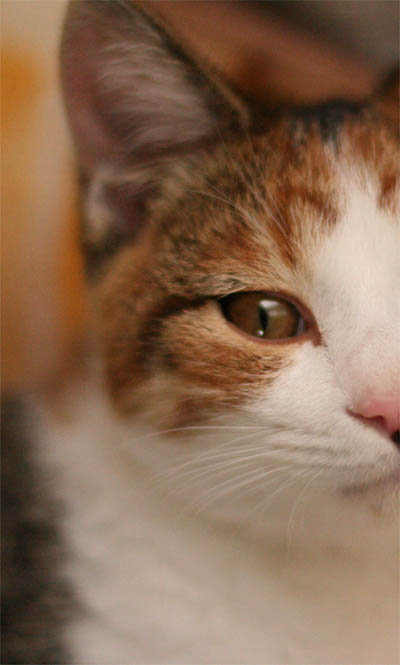 IMG_1398_1.jpg