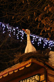 noel2009_07_02.jpg