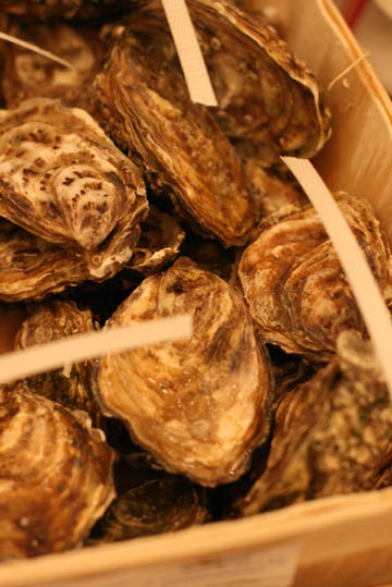 noel_repas2009_01.jpg